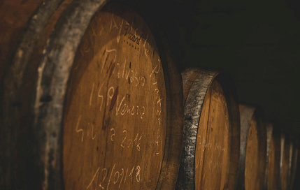 Профессиональная консультация